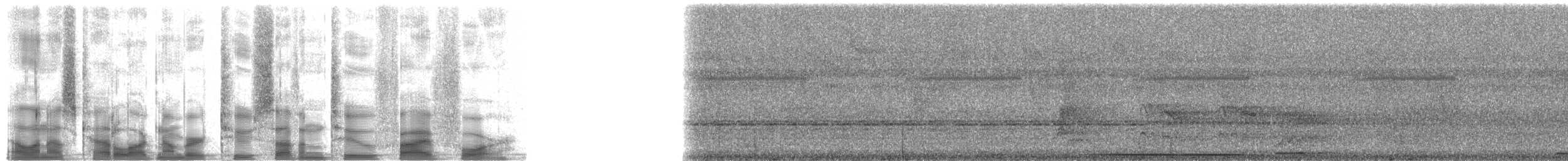 holoubek šedomodrý - ML27254