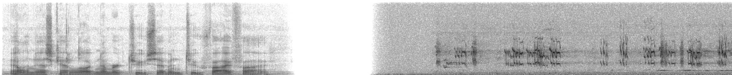 White-crowned Parrot - ML27255