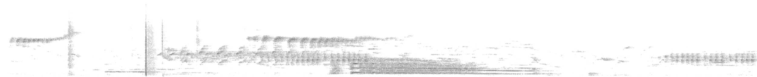 Weißscheitel-Kleintyrann (Weißbauch-Kleintyrann) - ML272557631