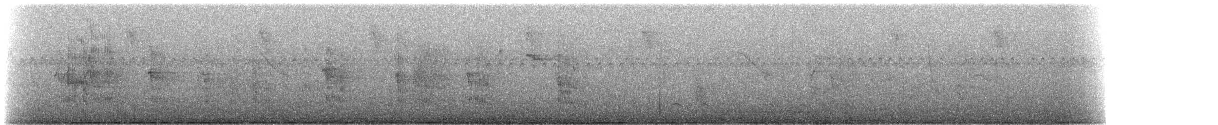 ecuadorparakitt - ML272573