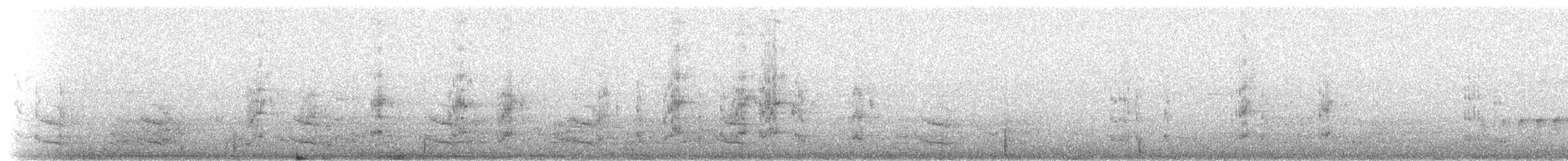 ecuadorparakitt - ML272578
