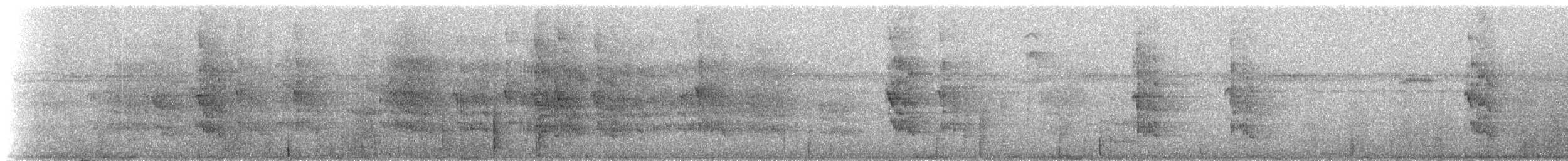 ecuadorparakitt - ML272579