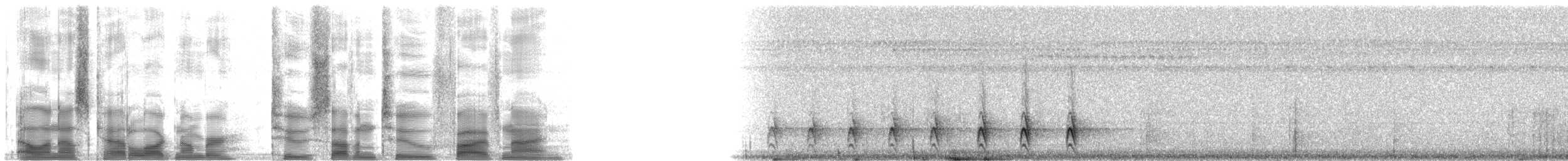 Black-hooded Antshrike - ML27259