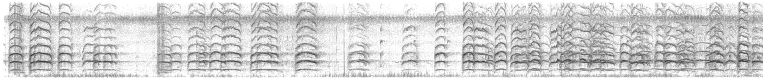 Afrikascherenschnabel - ML272602431