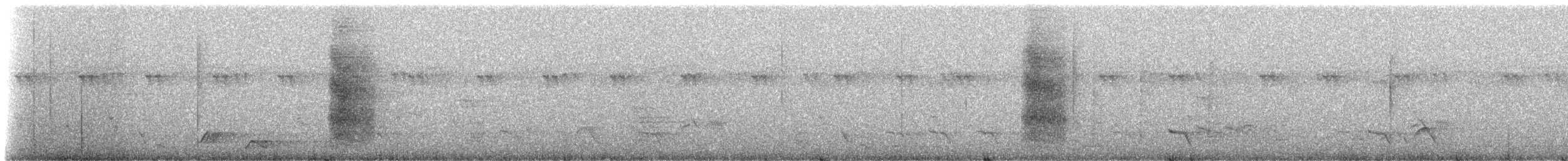 Black-bellied Starling - ML272607