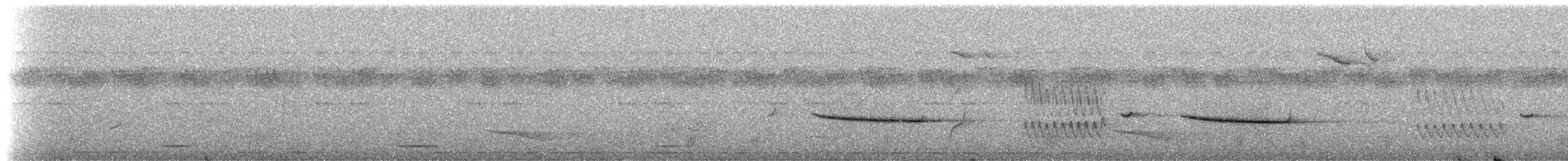 Red-tailed Ant-Thrush - ML272610