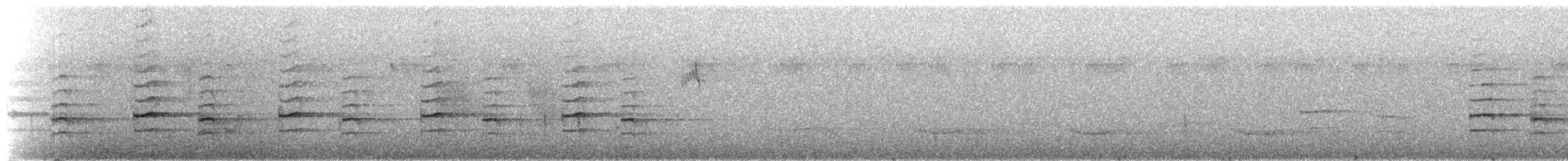 Coqui Francolin - ML272618