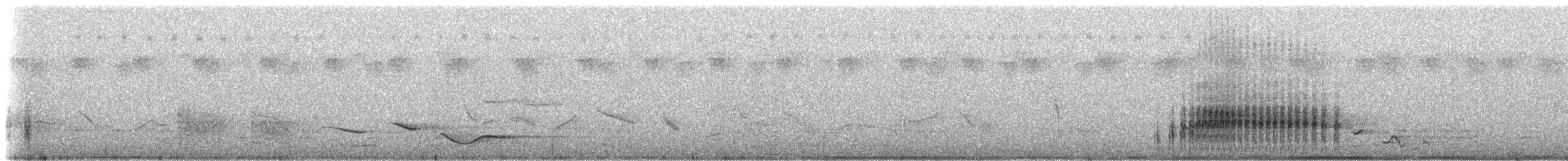 tchagra sp. - ML272619