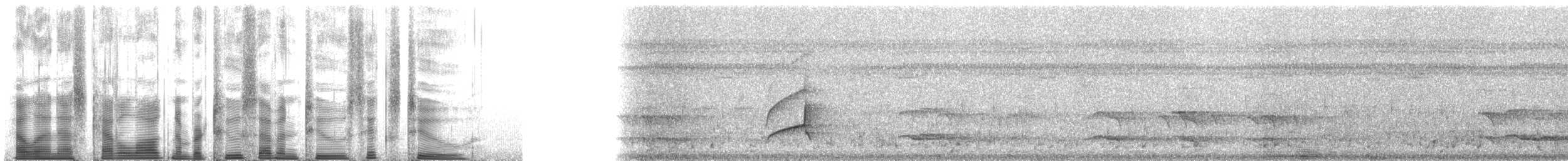 Great Crested Flycatcher - ML27262