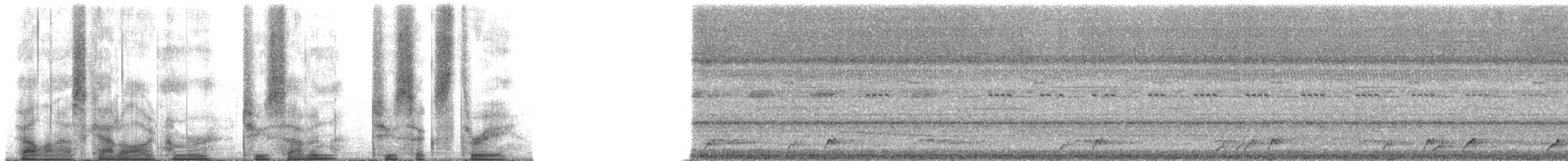 Pauraquenachtschwalbe - ML27263