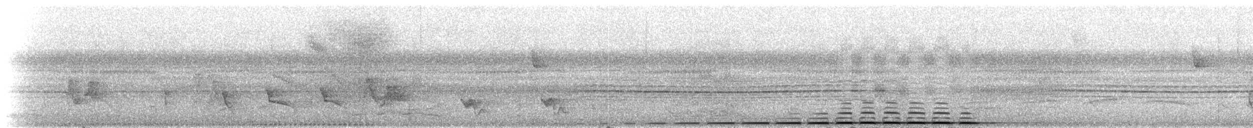 Variegated Antpitta - ML272633