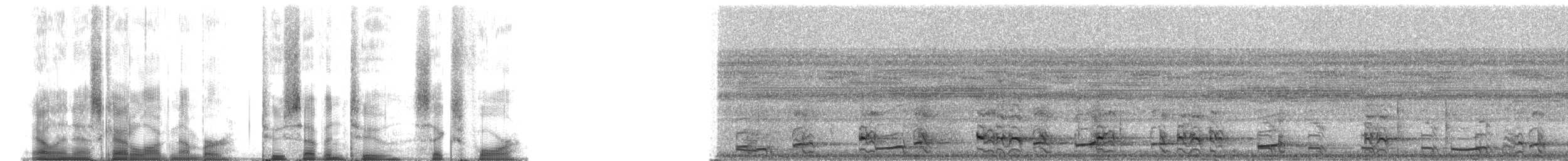 Gray-cowled Wood-Rail (Gray-cowled) - ML27264