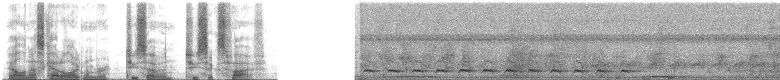 Gartered Violaceous Trogon - ML27265