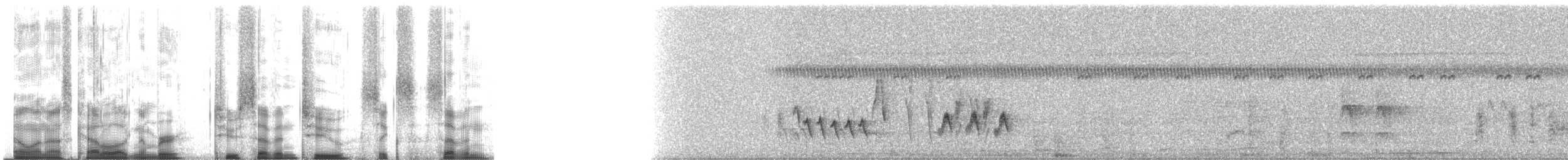 Southern House Wren - ML27267