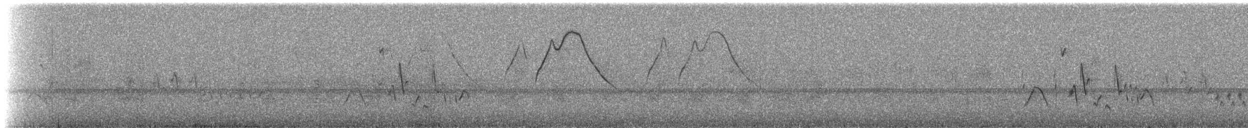 Porphyrin à bec jaune - ML272674