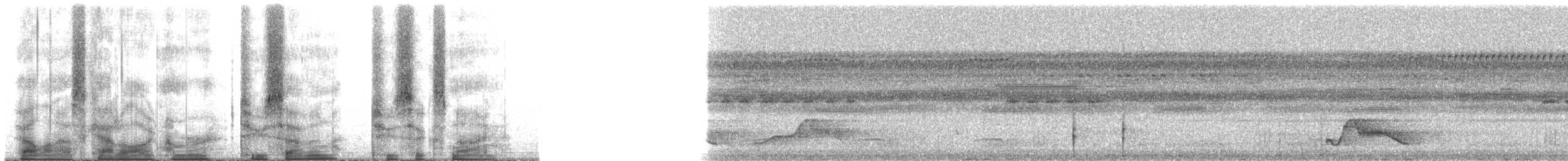 Common Pauraque - ML27269