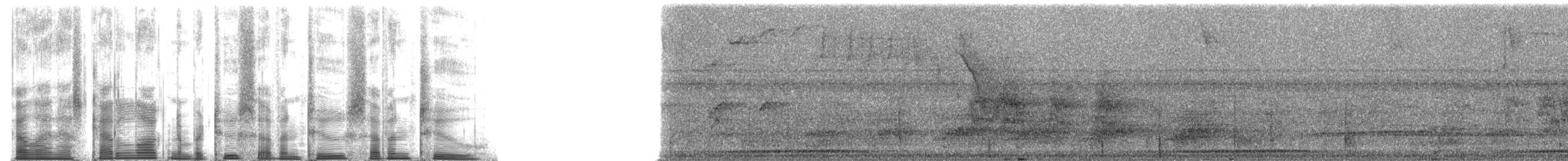 Short-billed Pigeon - ML27272