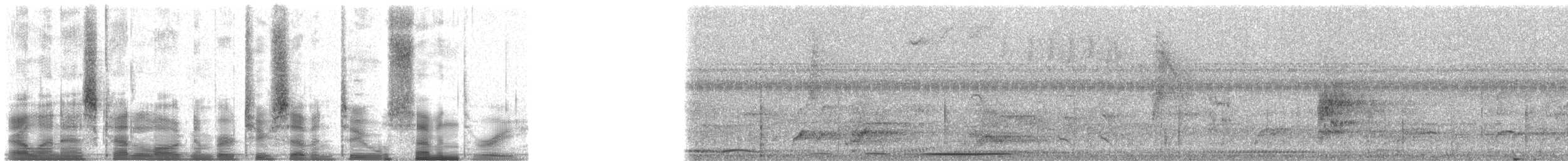 White-tipped Dove (White-tipped) - ML27273