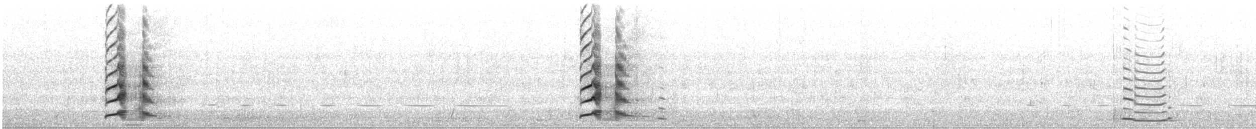 Schwarzschwan - ML272800971