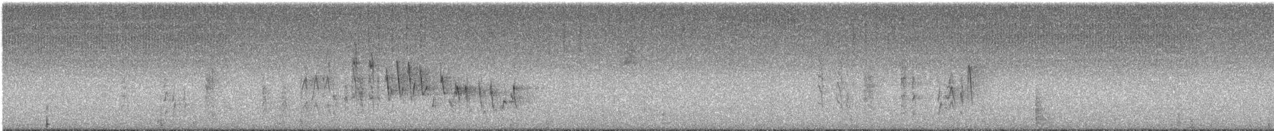 Northern House Wren - ML272967101