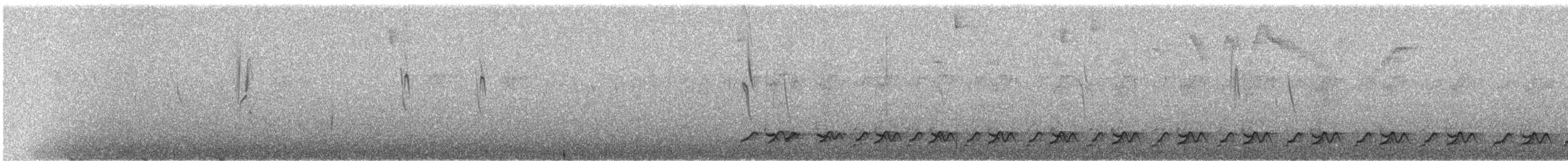 Streifengesichtwachtel - ML272987161