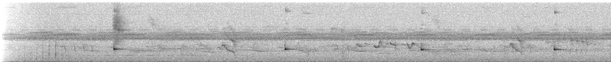 Slaty Bristlefront - ML273034811