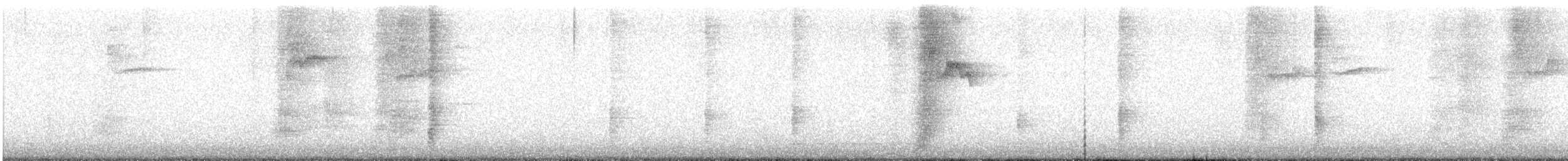 vlhovec lesklý (ssp. quiscula/stonei) - ML273104511
