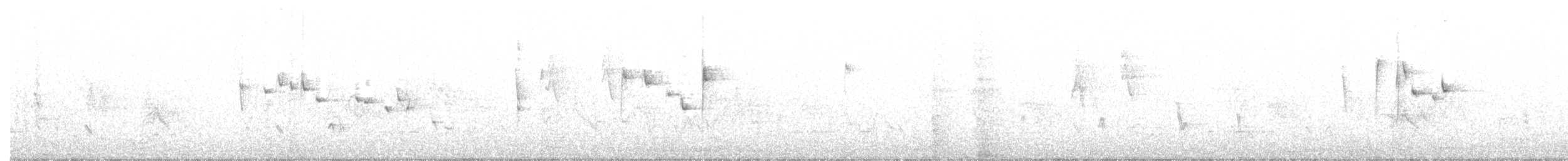 Шиподзьоб жовтогузий - ML273138531