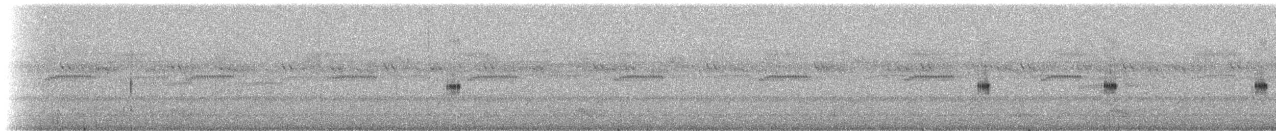 Rostnachtschwalbe [rufus-Gruppe] - ML273232