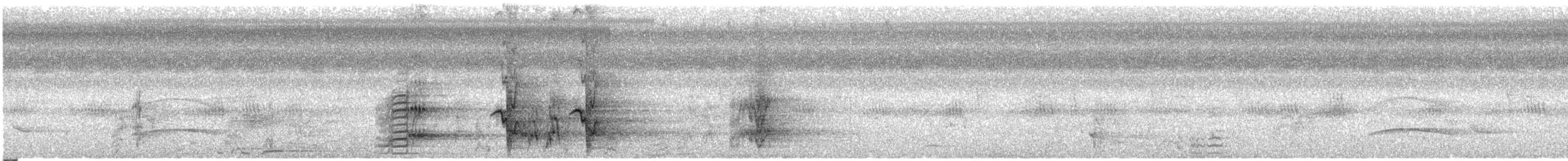 Amazone à lores rouges ou A. lilacée - ML273299421