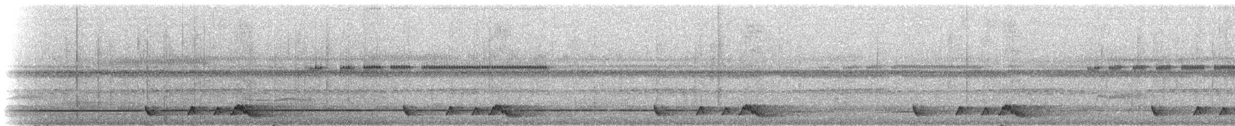 Rostnachtschwalbe [rufus-Gruppe] - ML273309