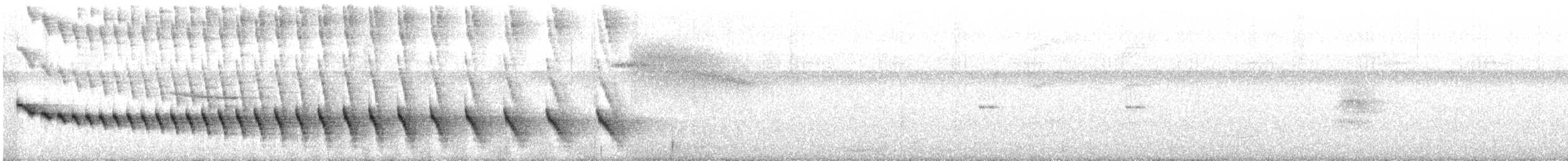 Grauband-Ameisenvogel - ML273333561