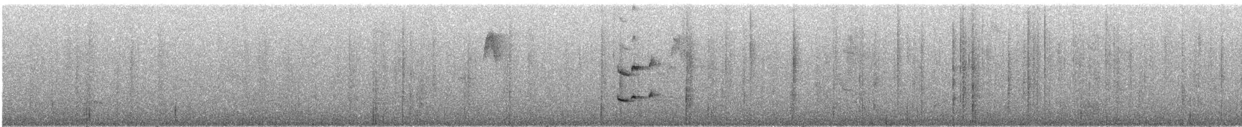 Пестрогрудый тираннчик - ML273357