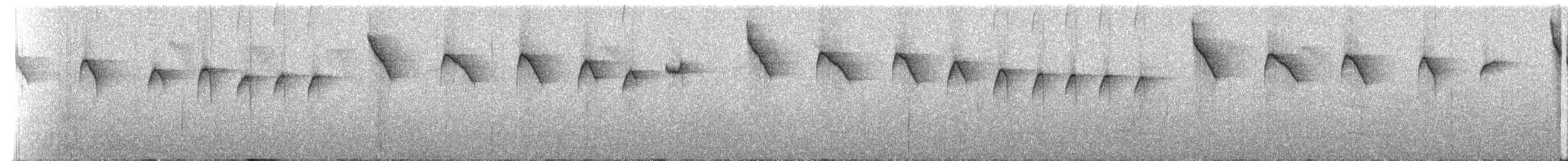 Коричневый колибри-отшельник - ML273406