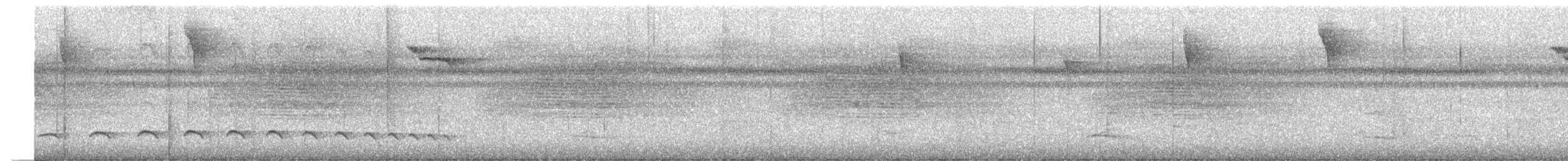Streifenkopf-Ameisenvogel - ML273416531