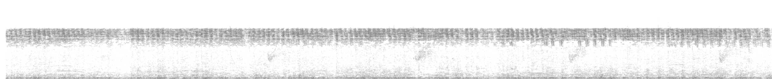 Savanna Nightjar - ML273418811