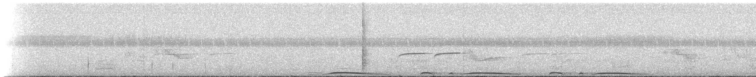 holub neotropický - ML273481