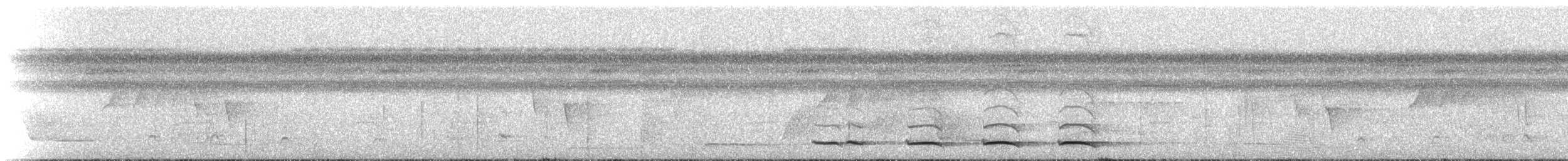 Trogon rosalba (groupe collaris) - ML273495