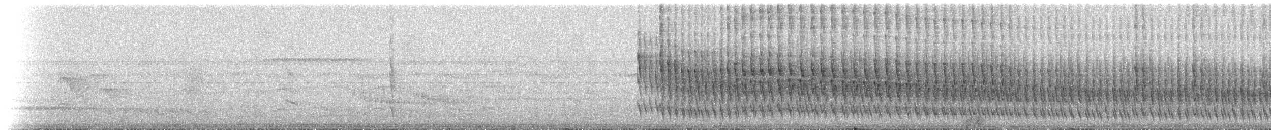 Rostflügelcanastero (dimorpha) - ML273498