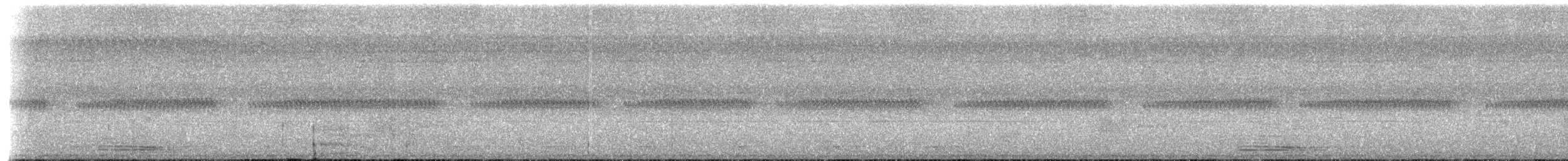 Motmot à bec large (groupe pyrrholaemum) - ML273506