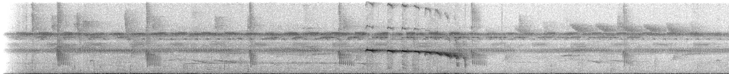 Alapi rougequeue (hemimelaena) - ML273523