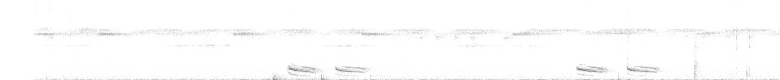 svartnakkemaurvarsler - ML273568891
