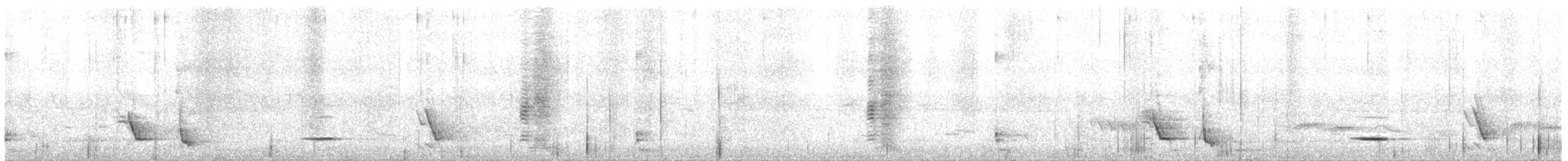 Méliphage carillonneur - ML273606631