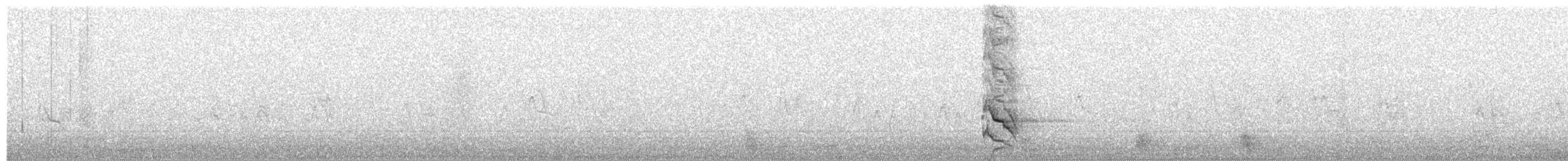 Шилоклювый дятел (luteus x cafer) - ML273607121