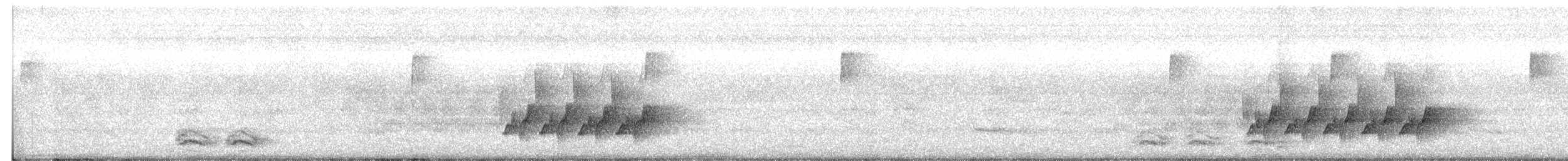 Поплітник каролінський - ML273659021