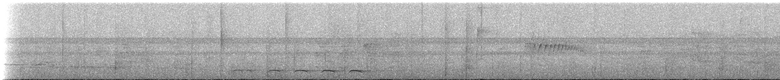 Trogon rosalba (groupe collaris) - ML273660