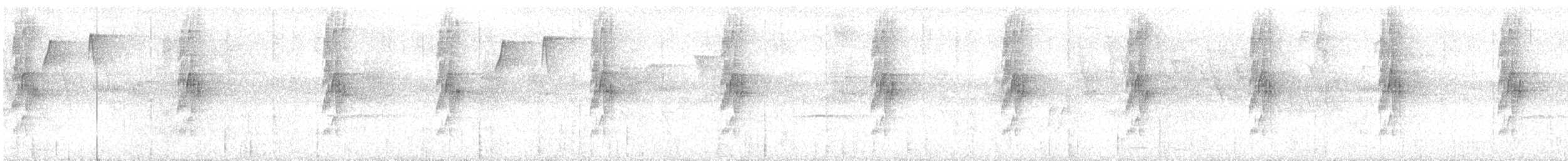 Усатый колибри-отшельник - ML273673301