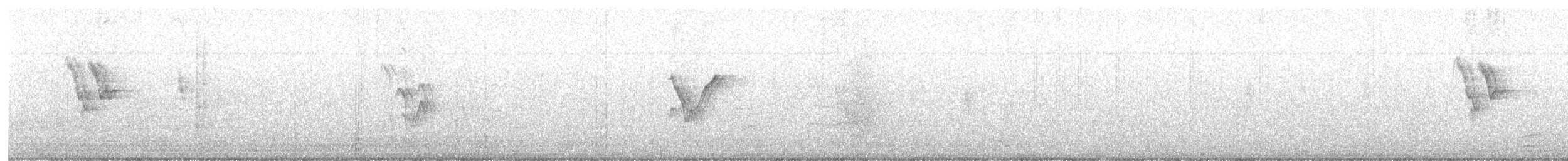 Хөх цэгцгий - ML273678921