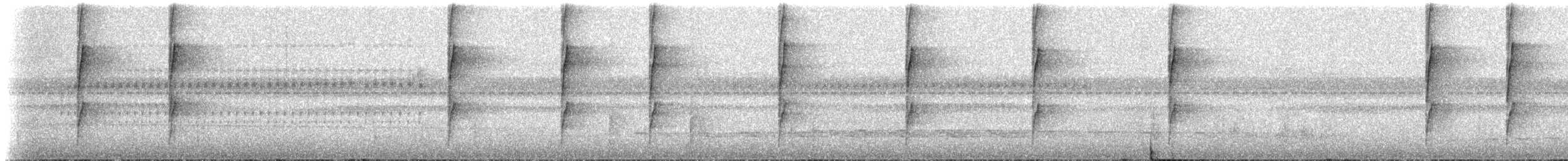 Kuzeyli Kestanerengi Karıncakuşu (hemimelaena) - ML273694