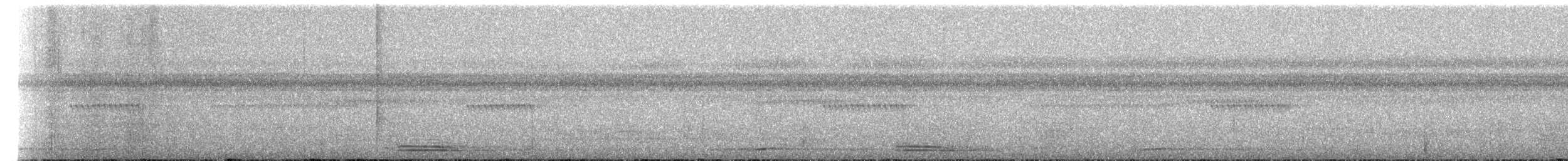 Motmot à bec large (groupe pyrrholaemum) - ML273702
